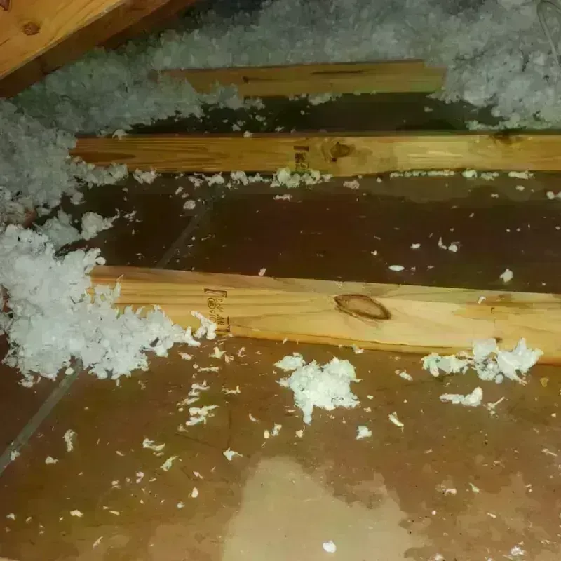 Attic Water Damage in Wood County, WV